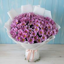 Букет цветов из:  Хризантемы в Марёво