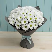Букет цветов из:  Хризантемы в Марёво